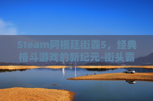 Steam阿根廷街霸5，经典格斗游戏的新纪元-街头霸王阿杜根