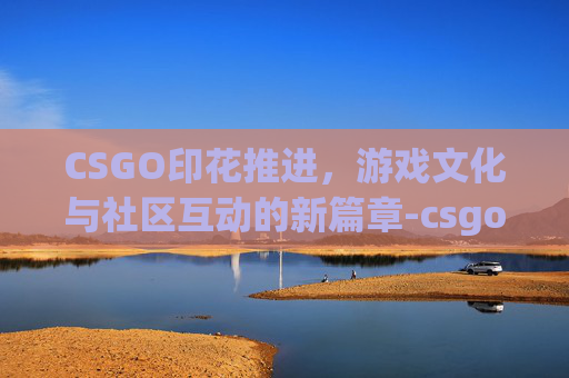 CSGO印花推进，游戏文化与社区互动的新篇章-csgo印花2020rmr