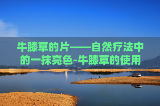 牛膝草的片——自然疗法中的一抹亮色-牛膝草的使用方法