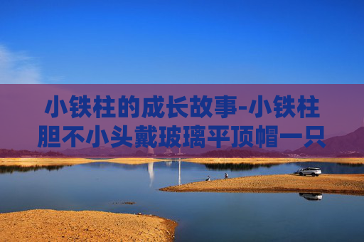 小铁柱的成长故事-小铁柱胆不小头戴玻璃平顶帽一只眼睛亮闪闪哪黑往哪瞧
