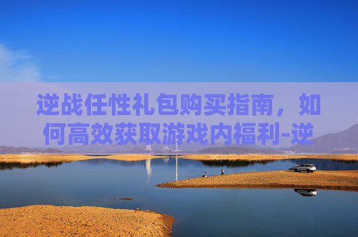 逆战任性礼包购买指南，如何高效获取游戏内福利-逆战任性礼包购买攻略