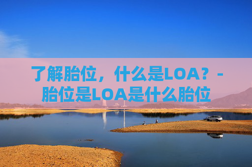 了解胎位，什么是LOA？-胎位是LOA是什么胎位
