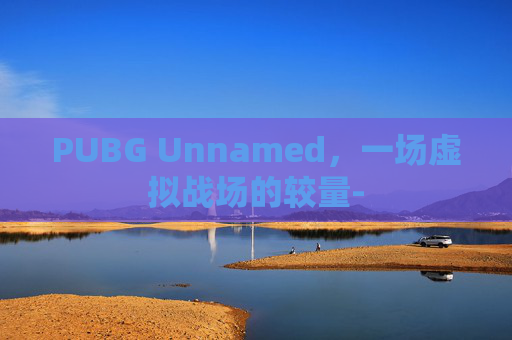 PUBG Unnamed，一场虚拟战场的较量-