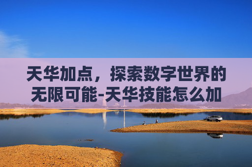 天华加点，探索数字世界的无限可能-天华技能怎么加点
