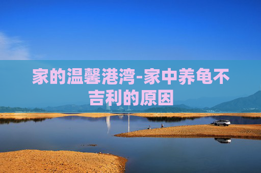 家的温馨港湾-家中养龟不吉利的原因