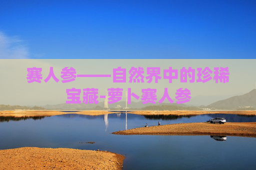赛人参——自然界中的珍稀宝藏-萝卜赛人参