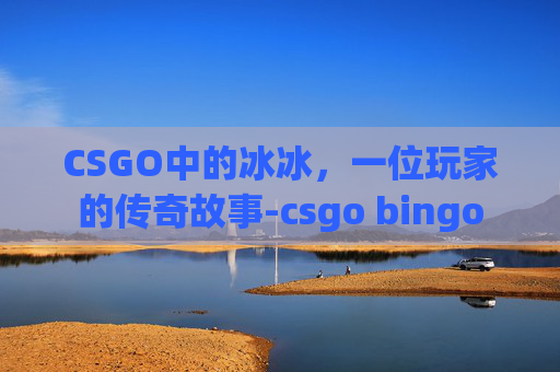 CSGO中的冰冰，一位玩家的传奇故事-csgo bingo