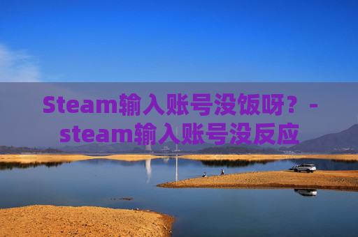 Steam输入账号没饭呀？-steam输入账号没反应