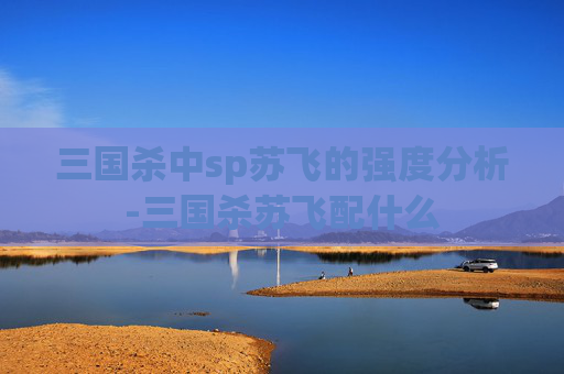 三国杀中sp苏飞的强度分析-三国杀苏飞配什么