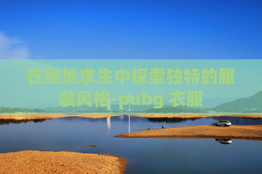在绝地求生中探索独特的服装风格-pubg 衣服