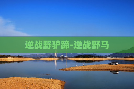 逆战野驴蹄-逆战野马 逆战野驴蹄-逆战野马
