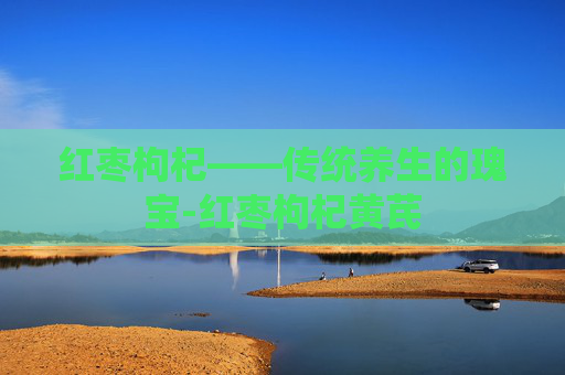 红枣枸杞——传统养生的瑰宝-红枣枸杞黄芪 红枣枸杞——传统养生的瑰宝-红枣枸杞黄芪