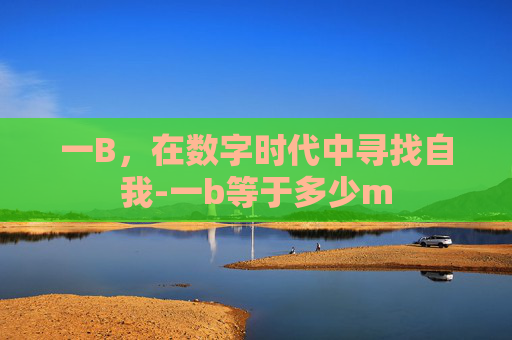 一B,在数字时代中寻找自我-一b等于多少m 一B,在数字时代中寻找自我-一b等于多少m