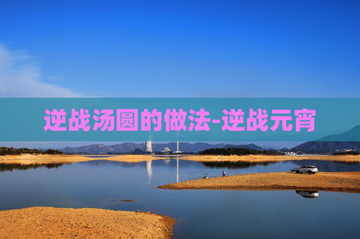 逆战汤圆的做法-逆战元宵