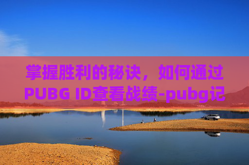 掌握胜利的秘诀，如何通过PUBG ID查看战绩-pubg记录查询