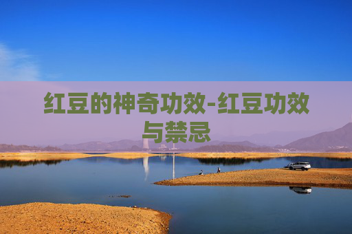 红豆的神奇功效-红豆功效与禁忌