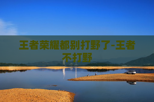 王者荣耀都别打野了-王者不打野