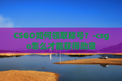 CSGO如何领取称号？-csgo怎么才能获得勋章