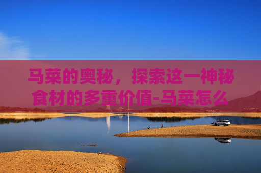 马菜的奥秘，探索这一神秘食材的多重价值-马菜怎么做好吃
