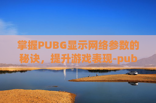 掌握PUBG显示网络参数的秘诀，提升游戏表现-pubg网络参数在哪设置