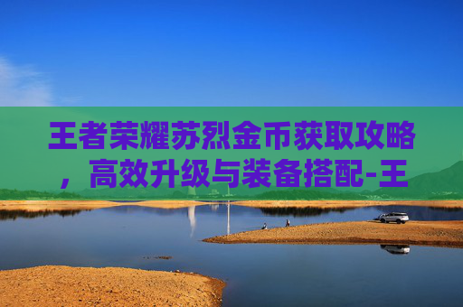 王者荣耀苏烈金币获取攻略，高效升级与装备搭配-王者荣耀苏烈金币怎么用