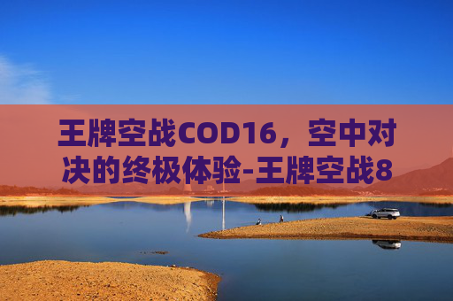 王牌空战COD16，空中对决的终极体验-王牌空战8
