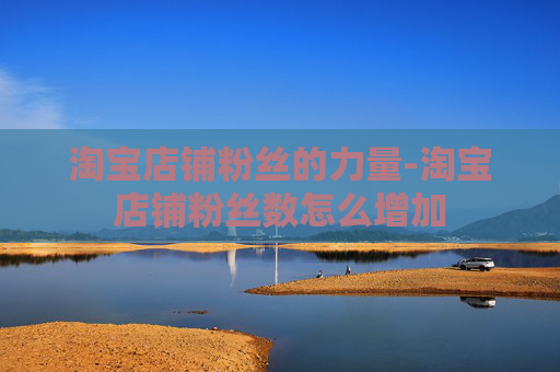 淘宝店铺粉丝的力量-淘宝店铺粉丝数怎么增加