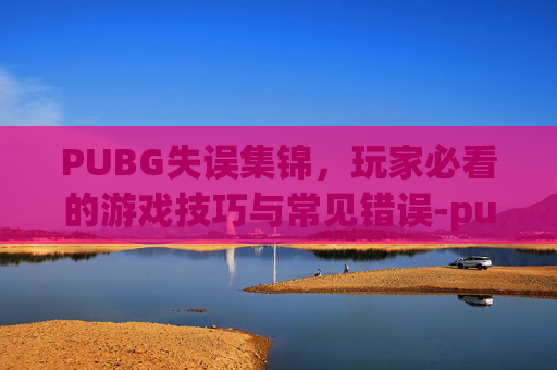 PUBG失误集锦，玩家必看的游戏技巧与常见错误-pubg事件