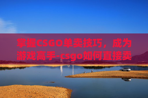 掌握CSGO单卖技巧，成为游戏高手-csgo如何直接卖东西