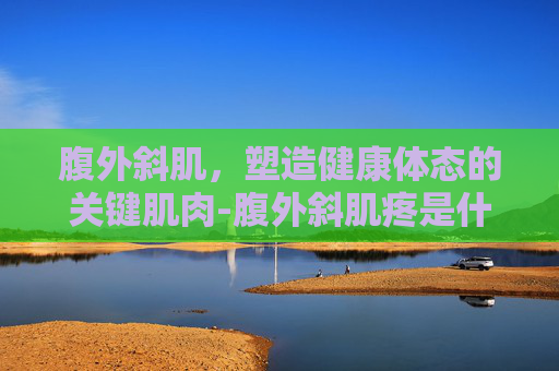 腹外斜肌，塑造健康体态的关键肌肉-腹外斜肌疼是什么原因