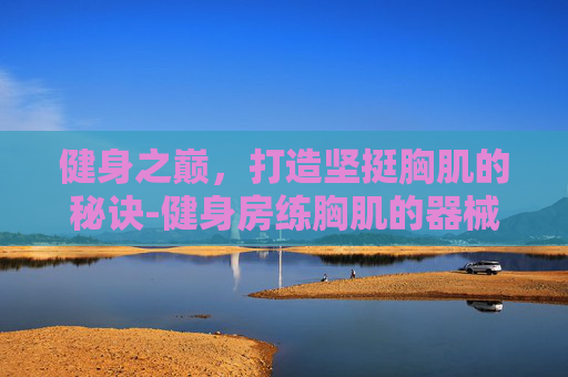 健身之巅，打造坚挺胸肌的秘诀-健身房练胸肌的器械