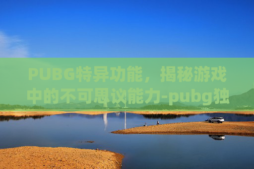 PUBG特异功能，揭秘游戏中的不可思议能力-pubg独特
