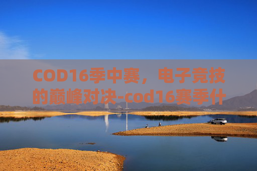 COD16季中赛，电子竞技的巅峰对决-cod16赛季什么时候结束