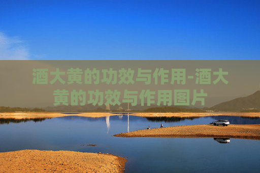 酒大黄的功效与作用-酒大黄的功效与作用图片