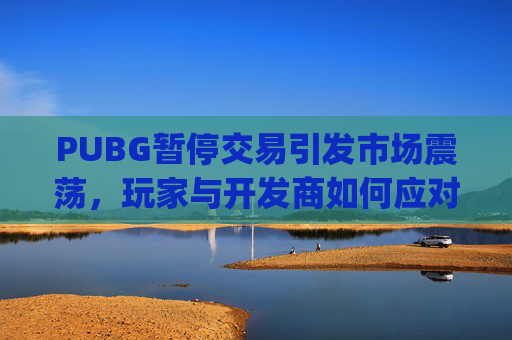 PUBG暂停交易引发市场震荡，玩家与开发商如何应对？-pubg解除交易限制