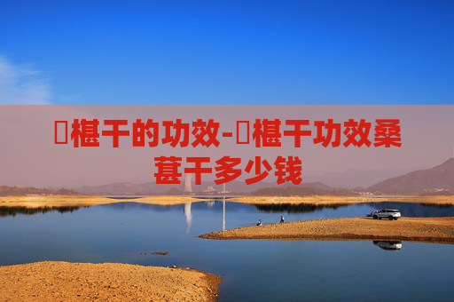 槡椹干的功效-槡椹干功效桑葚干多少钱
