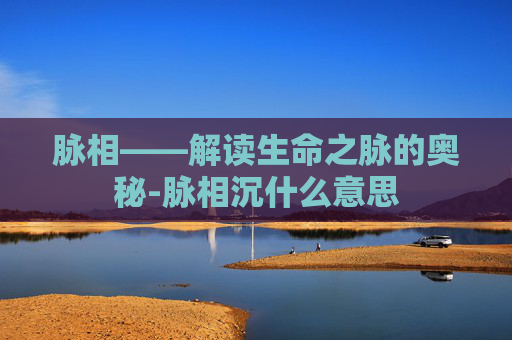 脉相——解读生命之脉的奥秘-脉相沉什么意思