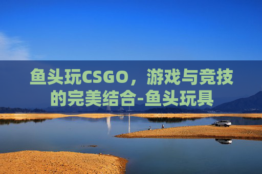 鱼头玩CSGO，游戏与竞技的完美结合-鱼头玩具
