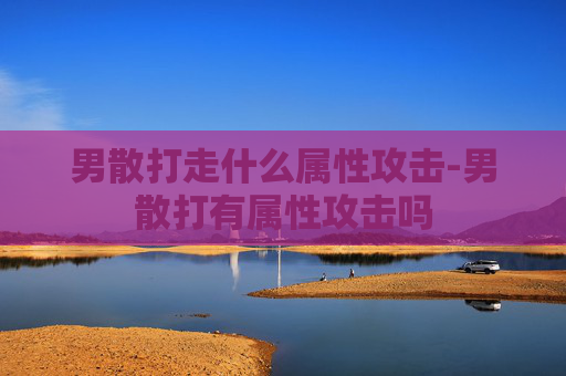 男散打走什么属性攻击-男散打有属性攻击吗