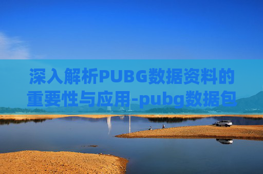 深入解析PUBG数据资料的重要性与应用-pubg数据包在哪