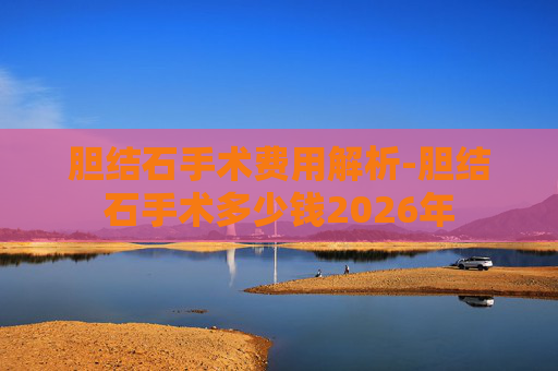 胆结石手术费用解析-胆结石手术多少钱2026年