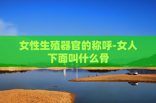 女性生殖器官的称呼-女人下面叫什么骨