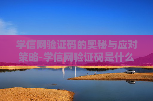 学信网验证码的奥秘与应对策略-学信网验证码是什么