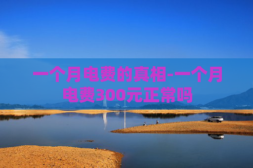 一个月电费的真相-一个月电费300元正常吗