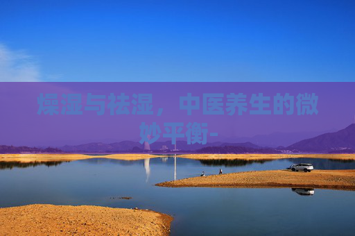 燥湿与祛湿，中医养生的微妙平衡-