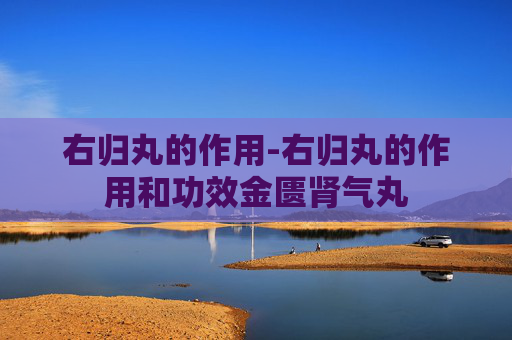 右归丸的作用-右归丸的作用和功效金匮肾气丸