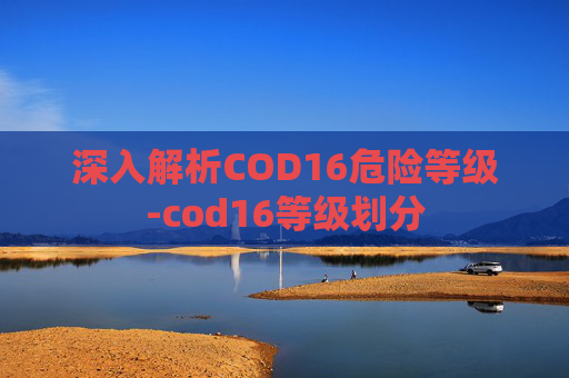 深入解析COD16危险等级-cod16等级划分
