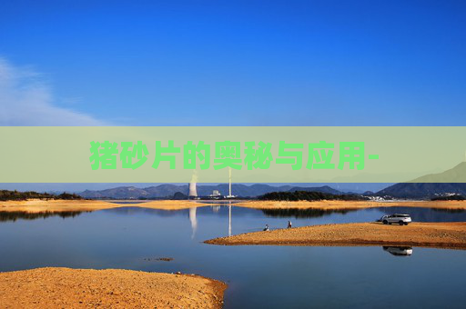 猪砂片的奥秘与应用-