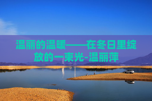 温丽的温暖——在冬日里绽放的一束光-温丽萍 温丽的温暖——在冬日里绽放的一束光-温丽萍
