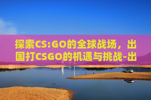 探索CS:GO的全球战场，出国打CSGO的机遇与挑战-出国打工最挣钱的国家